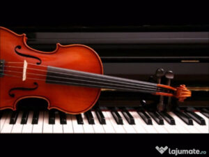 Violin 4/4 (Full size)
